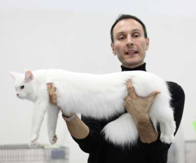 �������� ����� '������� ���-�����' 30 ������-1 ������� 2013., ������������ ��� 2387